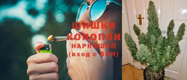 спайс Гусь-Хрустальный
