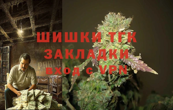 стафф Дмитровск