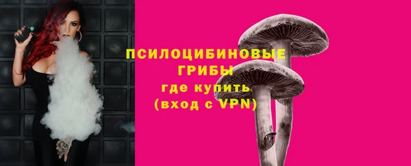 прущая мука Гусев