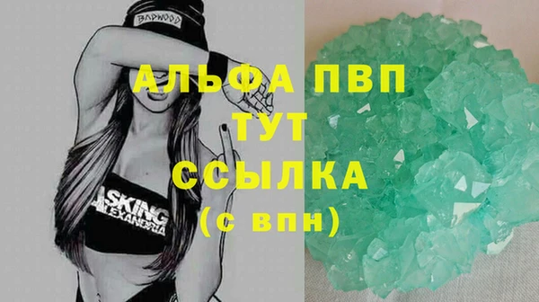 тгк Дмитров